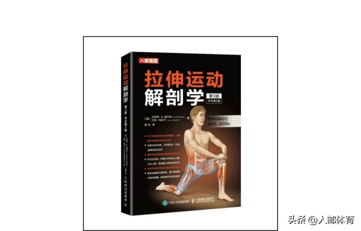 在沙发上锻炼,久坐一族伸展练习方法