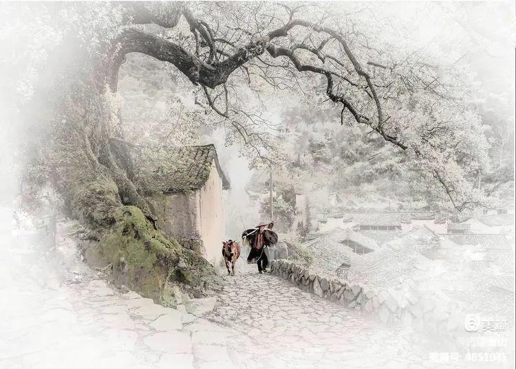 画意风光,画意风光摄影