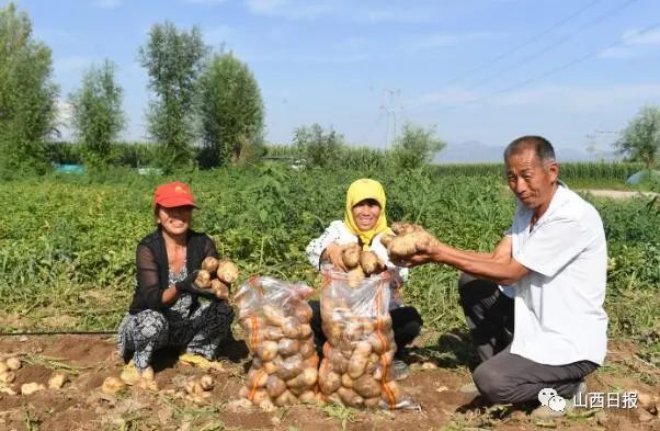鍦熻眴闈╁懡鍔╁姏涓版敹涓颁骇,鍏ㄧ渷鍔犲伐鍨嬮┈閾冭柉