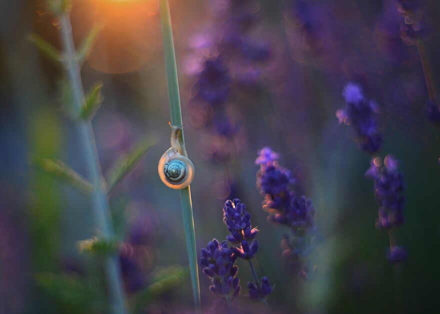 大自然的美景秋天摄影照片,美丽的大自然春夏秋冬图片大全