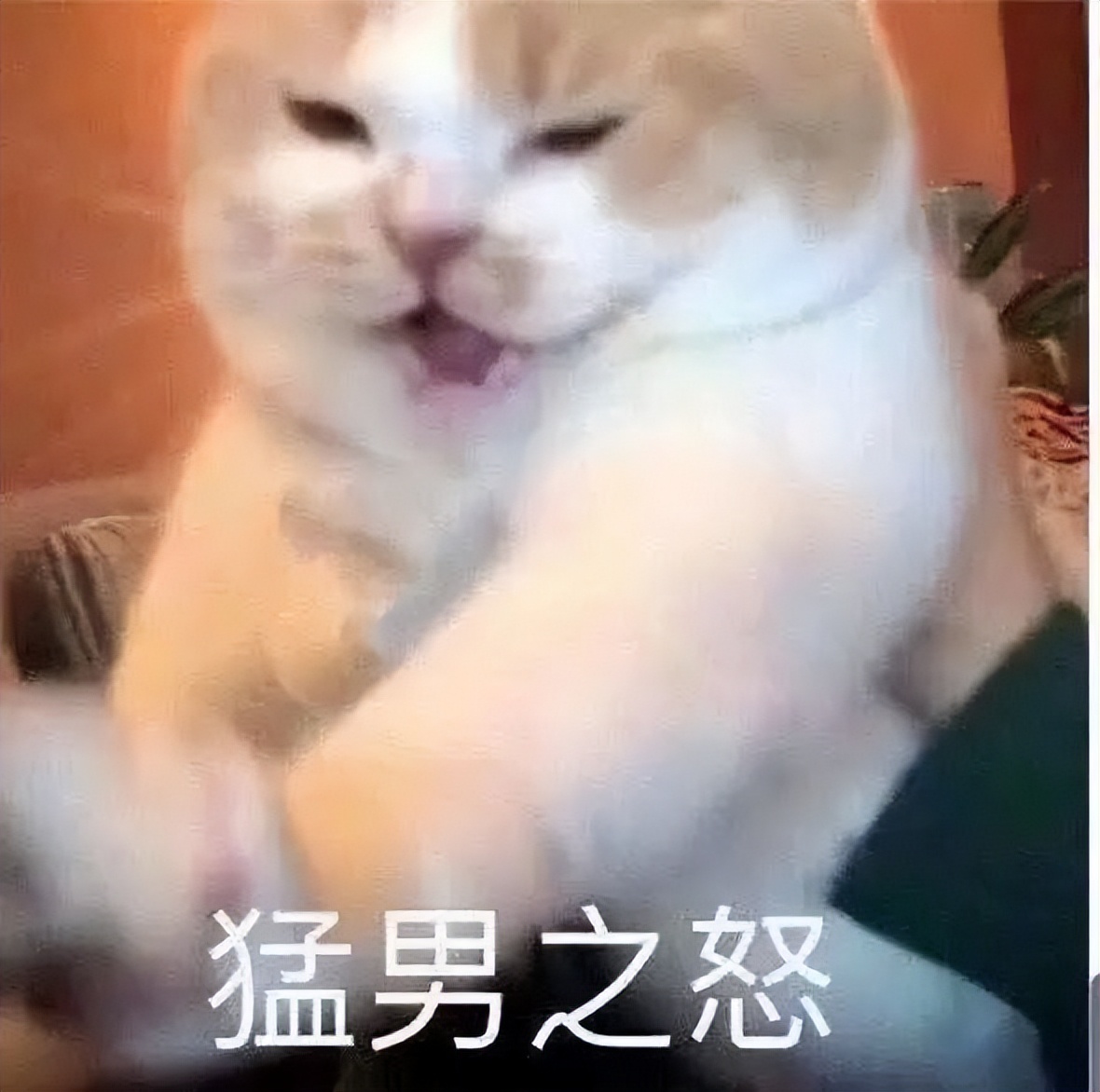 七匹狼腰带大人,七匹狼新款潮流腰带