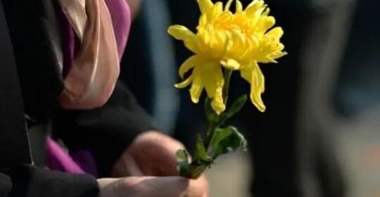 有的亲戚真的注定没有缘分吧！看着舅妈和姑姑的脸我决定之后不会