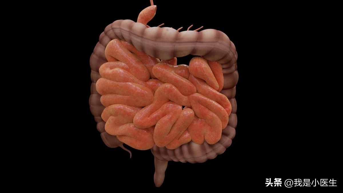 便秘的六种症状吃什么药,便秘除了便秘还是便秘