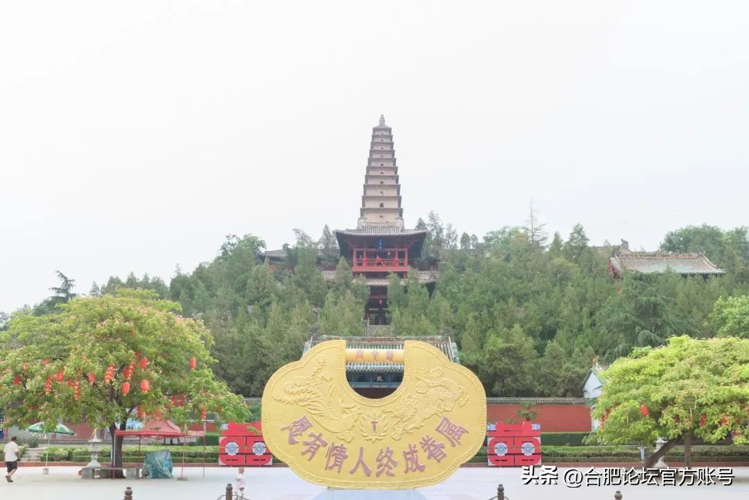 合肥市11月特价机票,特价机票来啦