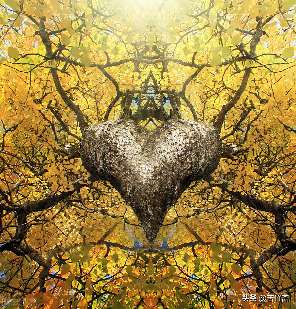 有人说你显老怎么回复,有人说你显老怎么办