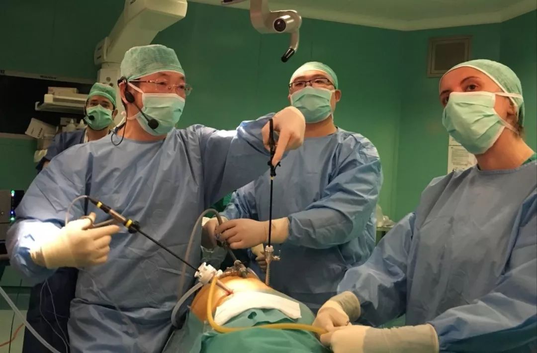 腹腔镜肾切除示意图,腹腔镜肾脏部分切除术