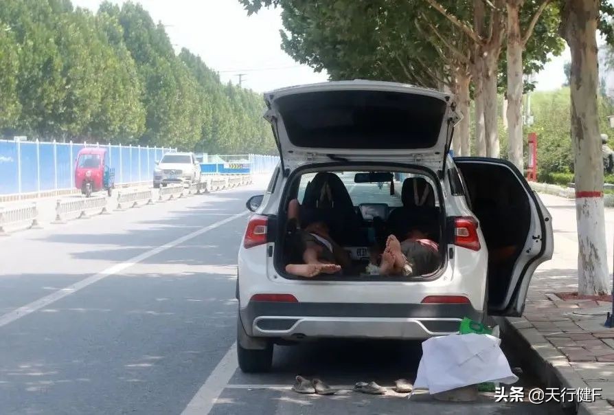 汽车投稿作品欣赏,汽车征文获奖