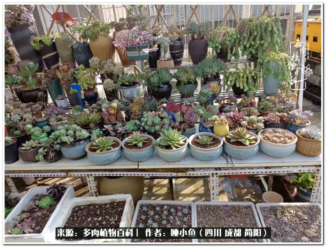 看世间繁华品一生,看世间繁华品人生美味