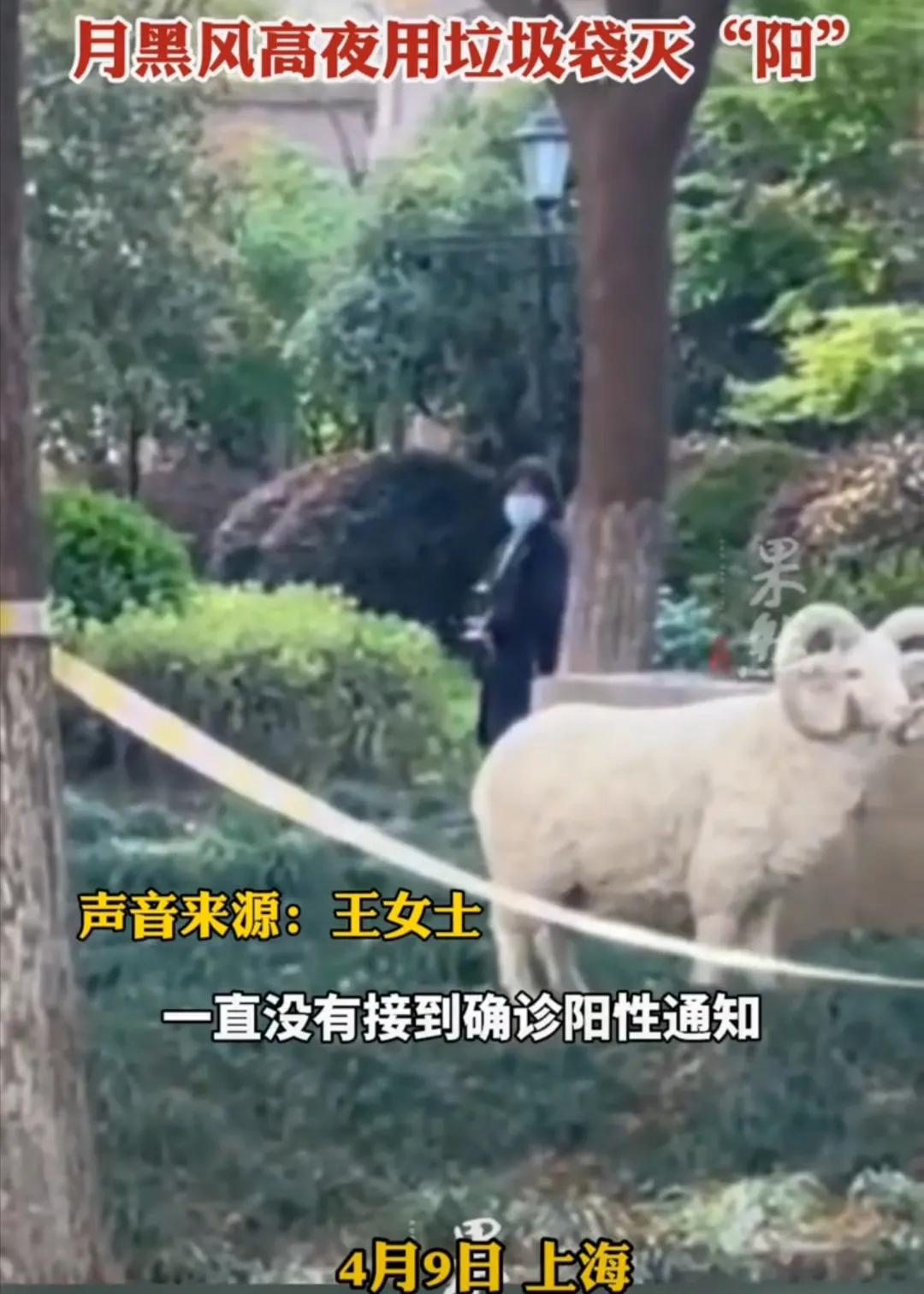 小区羊被套塑料袋,小区居民给羊摆件套塑料袋