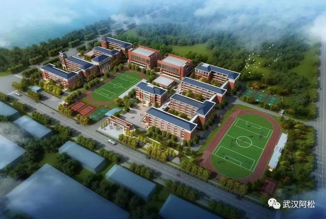 恭喜了！属于这个区的时代来了！大学、产业多项利好齐头并进