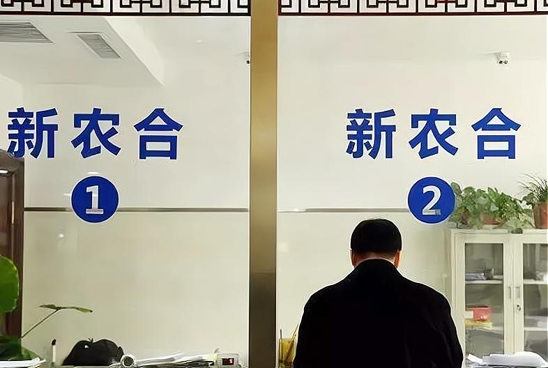 交了十几年新农合一次都没有用过,新农合一直没交过怎么交