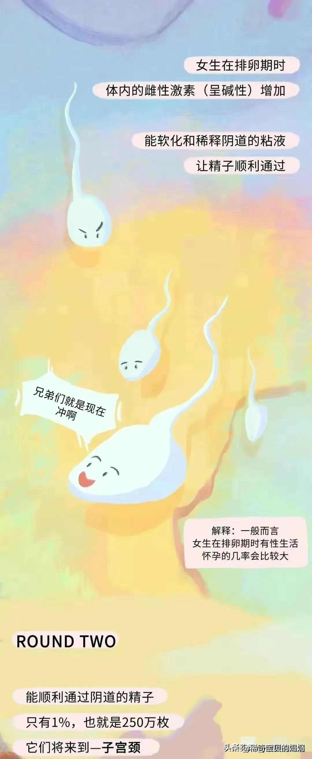 科普知识小蝌蚪怎么成长为青蛙,小蝌蚪动画的成长过程