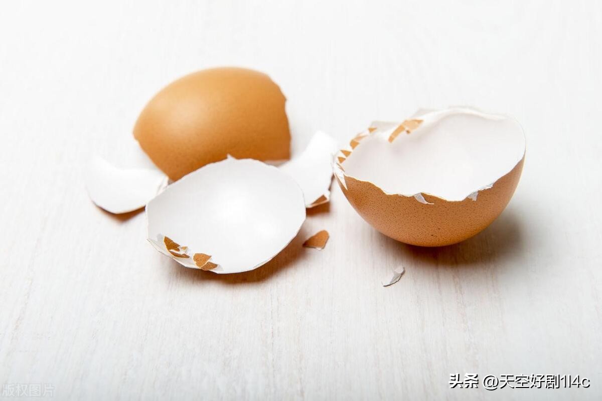 家里为啥有壁虎有啥好办法,家里有壁虎怎样彻底弄死