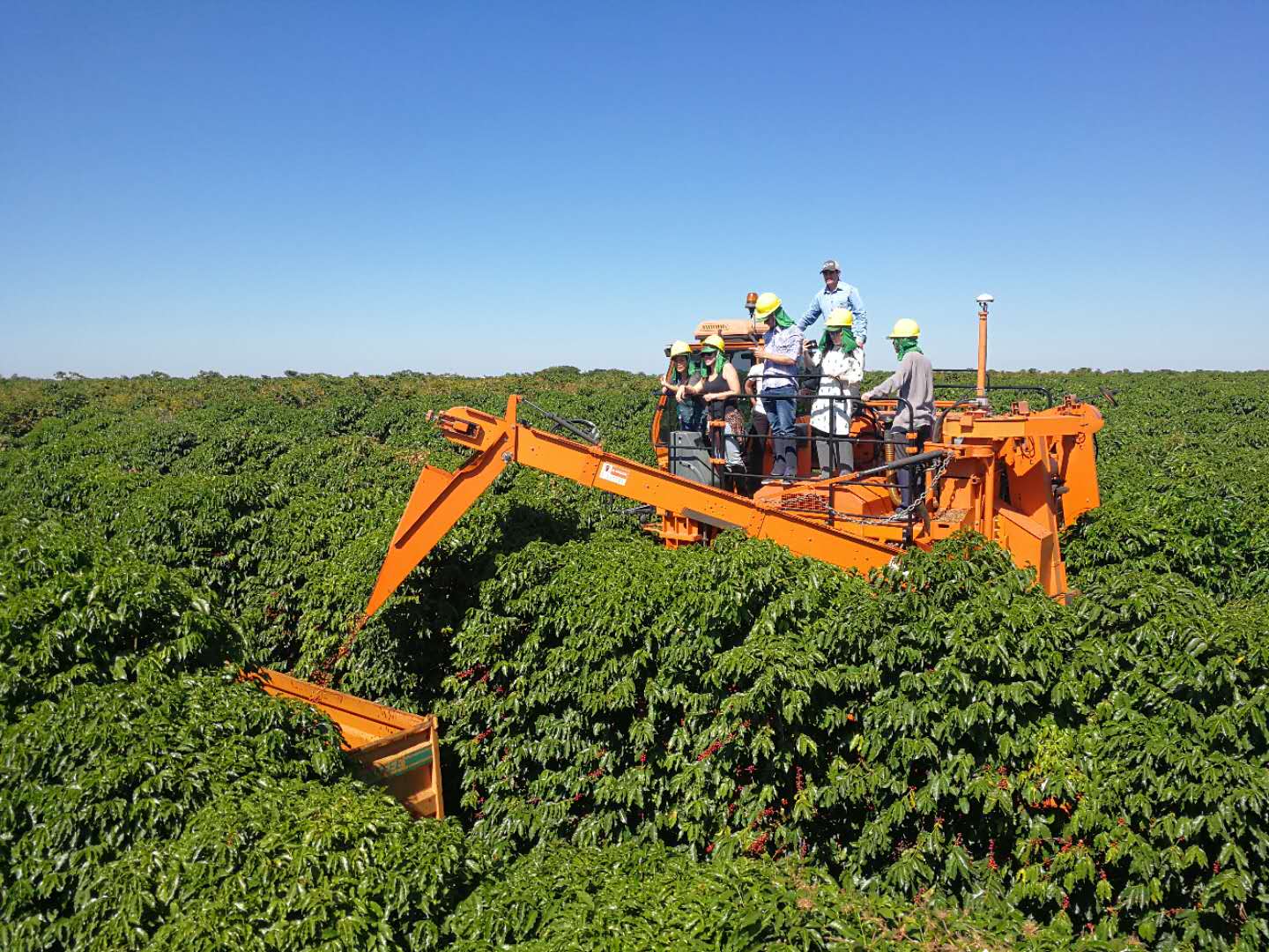 从“特朗普”到卢拉，巴西为何开启了左右横跳的模式？