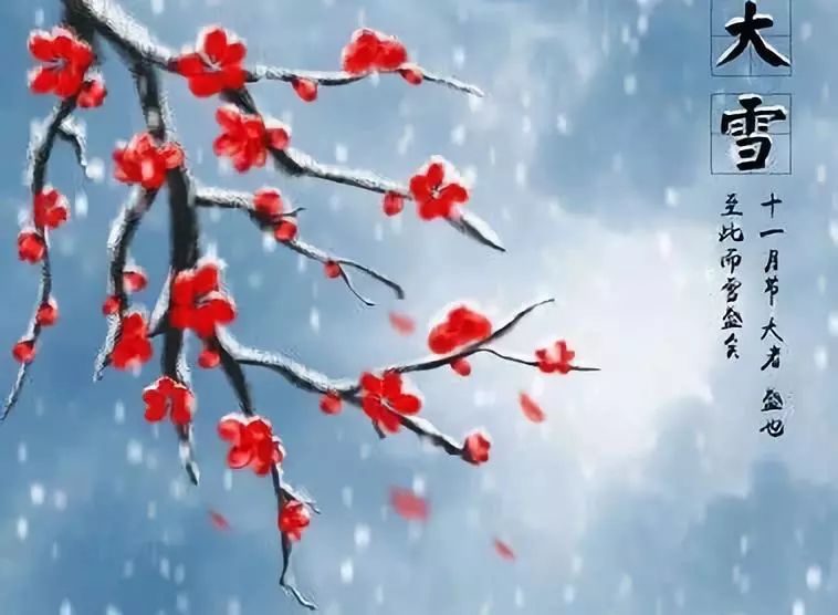 有关大雪节气的古诗词,大雪节气最好的古诗词