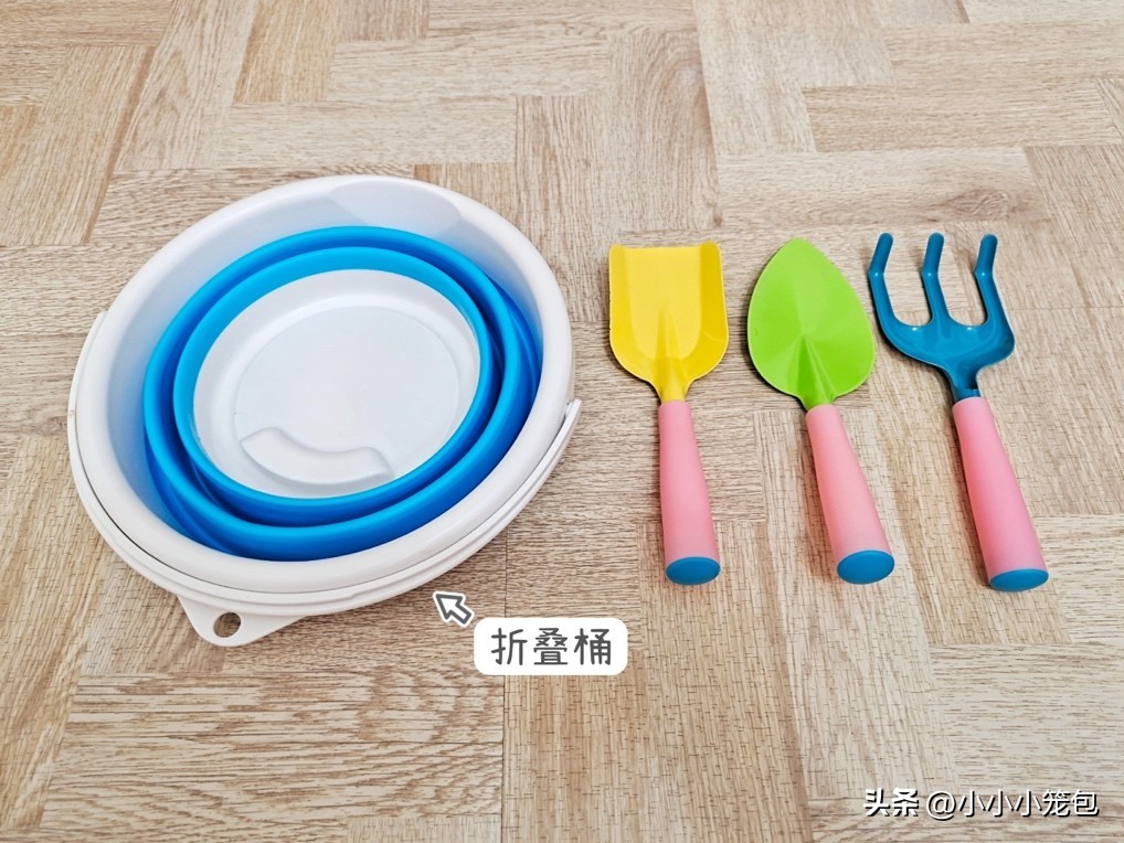 如何带娃赶海,带小朋友赶海攻略