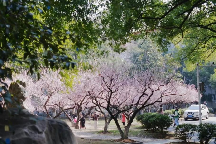 走出985院长、名企董事长！湖北名校“宝藏”学院火了：百年积淀，实力非凡！