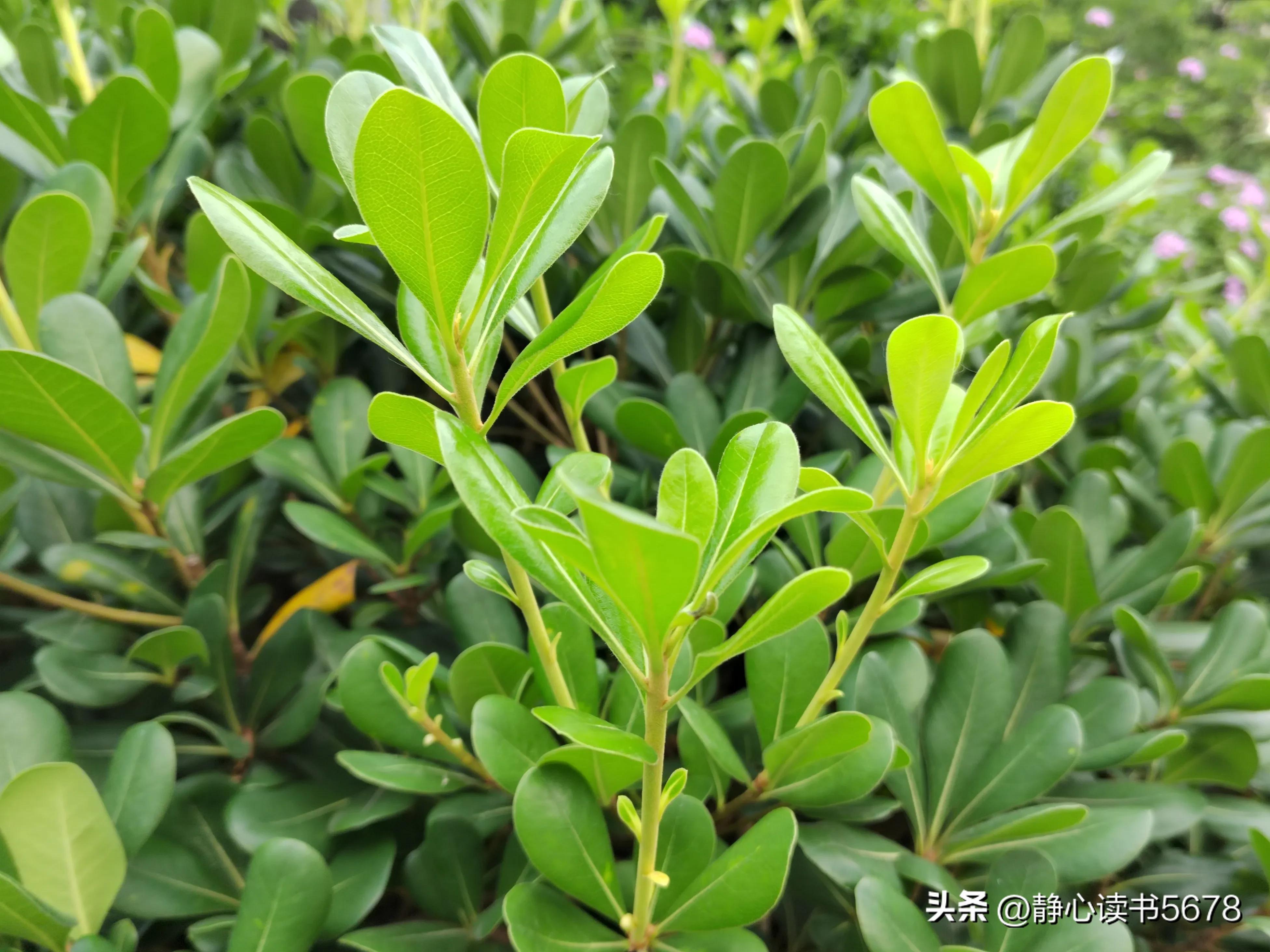 做一个好的生意经典语录,做生意最经典的一句话