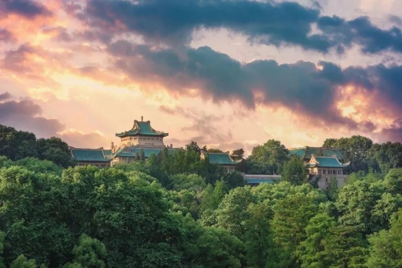 创新技术攻克世界医学专业难题,创新技术攻克世界医学难题