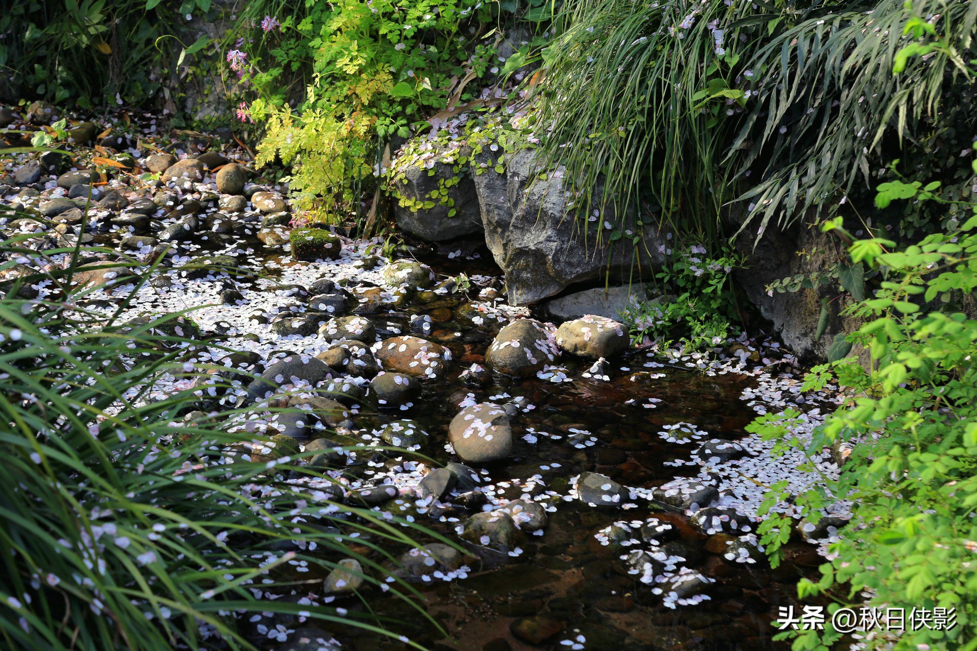 先介绍一下杭州著名的寺院,杭州西湖最著名的寺庙