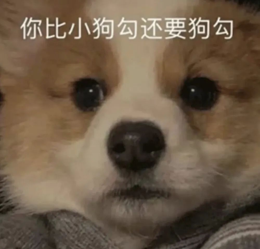 没事你继续打游戏吧表情包,我去打游戏了你乖乖的表情包