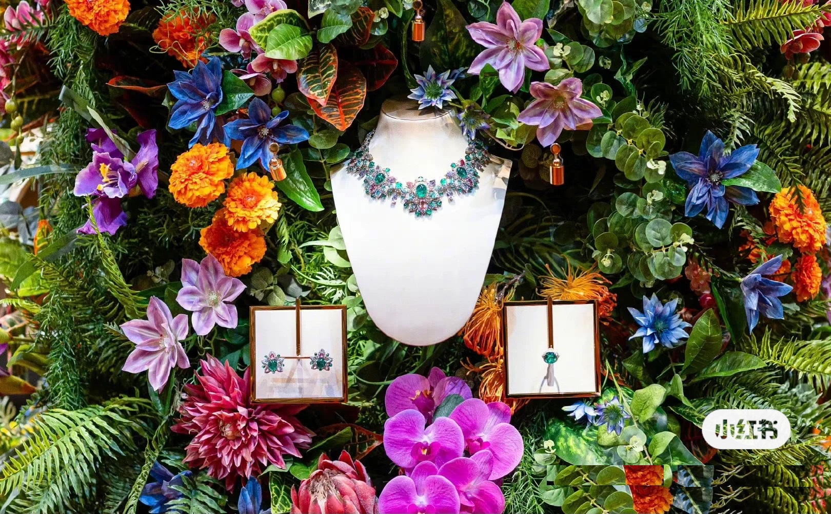 最新宝格丽活动吴磊赵露思,宝格丽吴磊回应拍戏