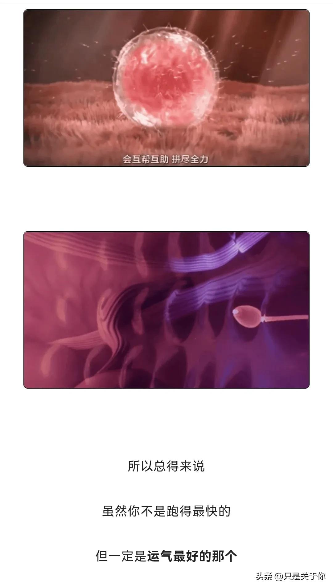 那些男人硬憋回去的“精子”都跑哪去了？这个操作伤身体吗？漫画