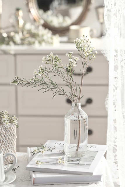 腊梅澳洲腊梅有香味吗,澳洲腊梅怎么感觉像假的