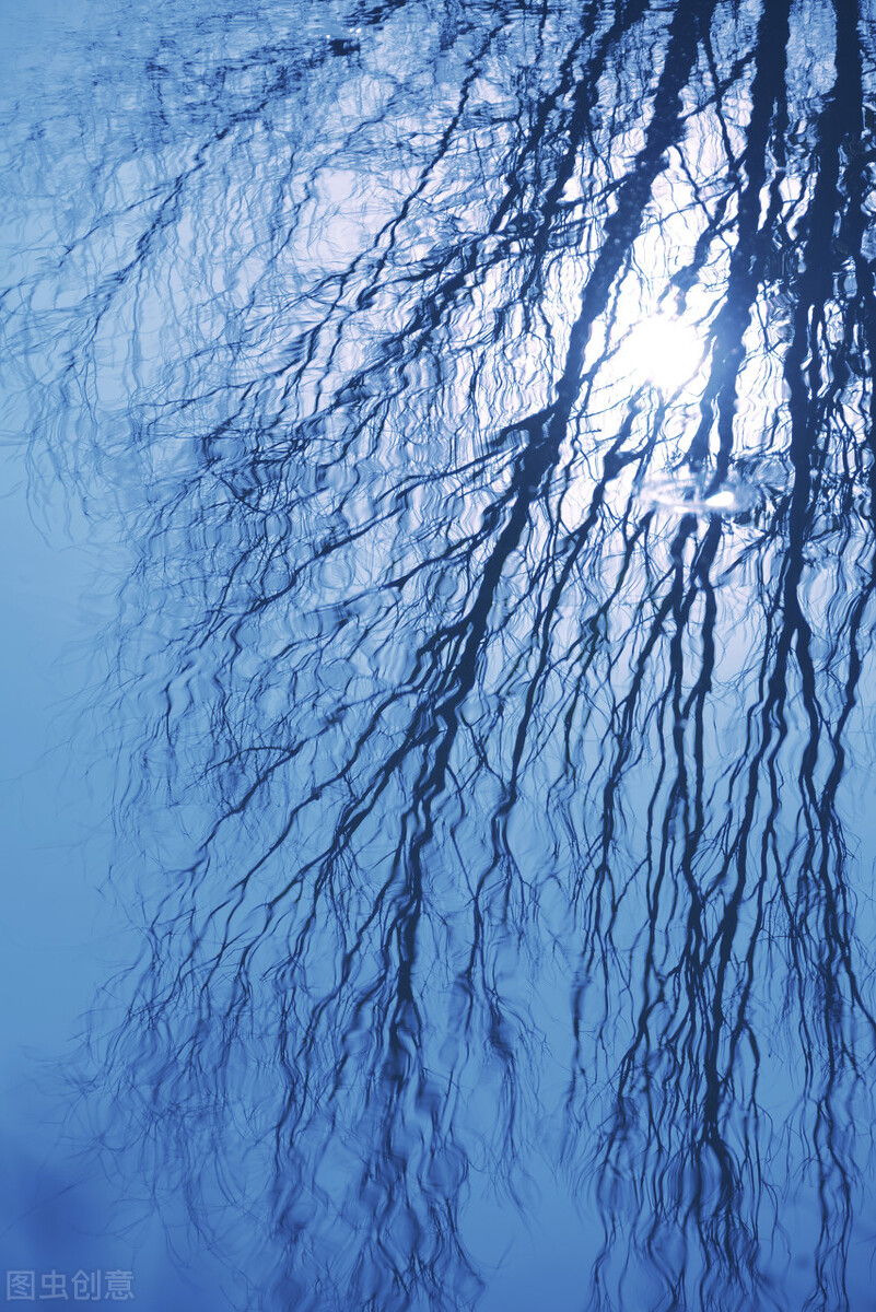 不将就的大龄未婚青年,临朐大龄未婚青年