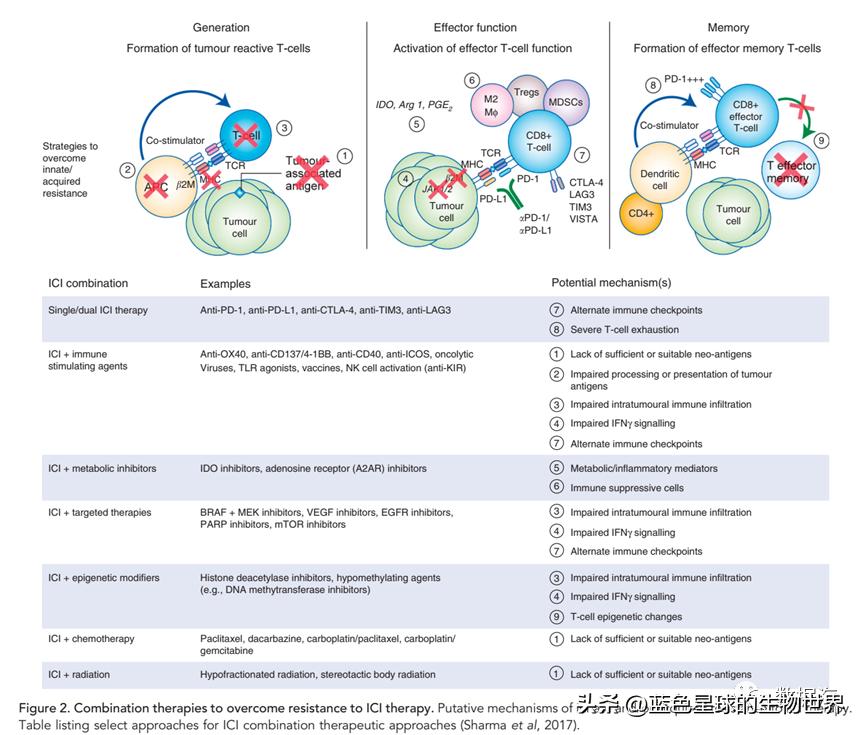 详解免疫检查点抑制剂的继发耐药,三代药耐药免疫治疗