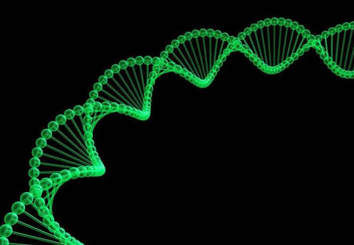 基因组学应用于癌症治疗,基因组学在育种的应用