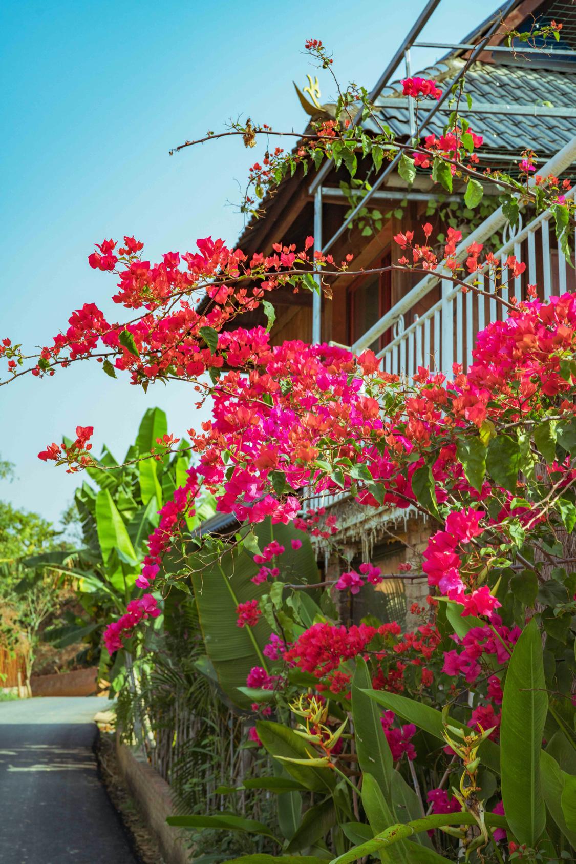 骂版纳是因为你没走出告庄玩版纳跟着小姐姐们走你才晓得味道
