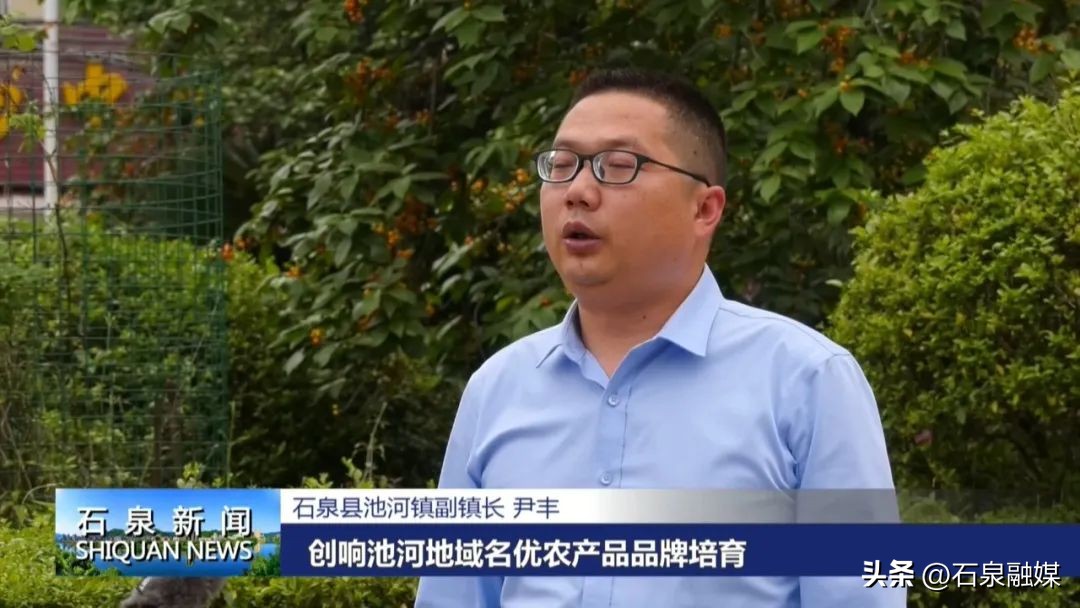 走基层看发展——池河镇丨石泉县池河镇：构建生猪全产业链条助推产业高质量发展