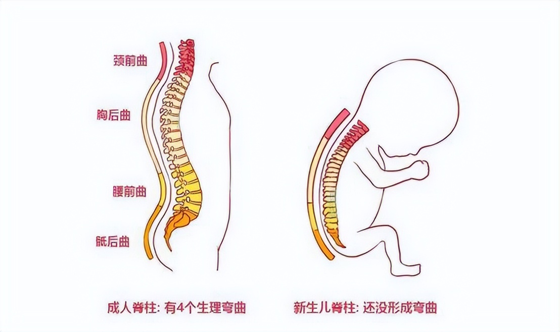 他们说的“硬”是什么“硬”，followme，选床垫不再迷茫