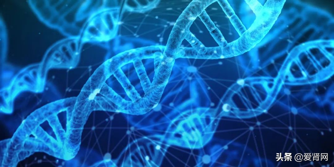 皮肤瘙痒饮食食谱大全,瘙痒症吃什么菜好