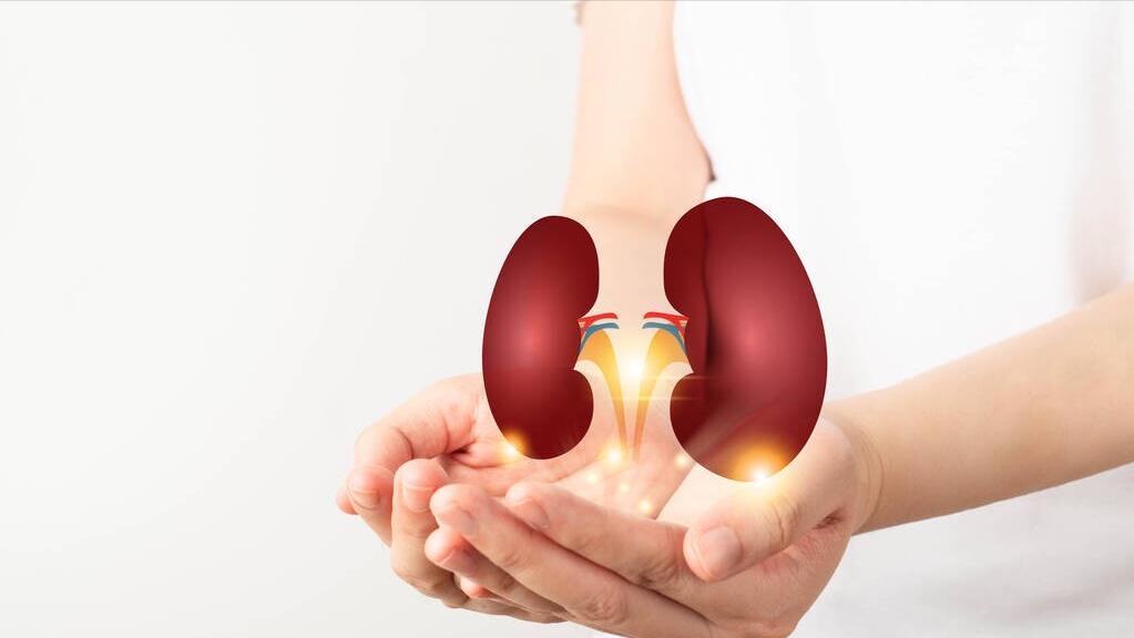 治疗肾病的西药有哪些效果好,肾病前沿治疗又有了新突破