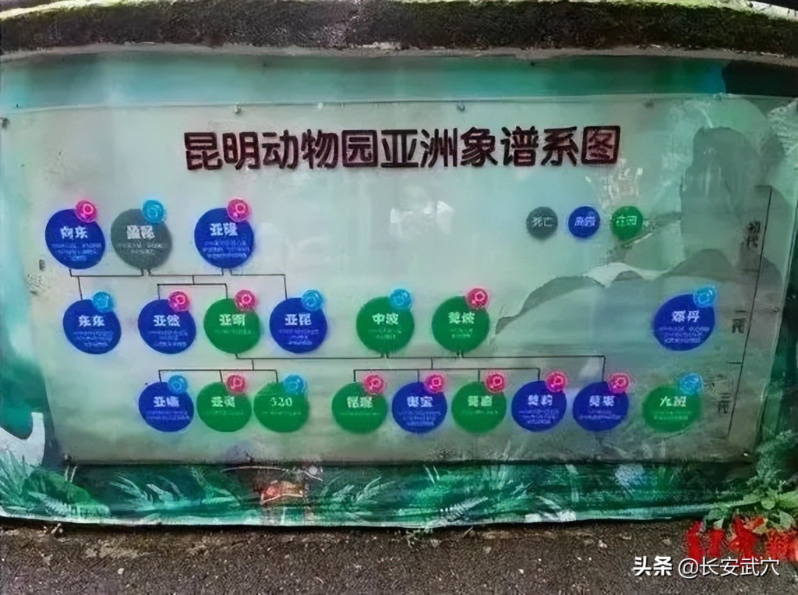 全网最近大事件,最大丑闻案件