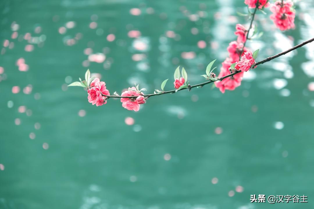 惊蛰惊动了哪些虫子,惊蛰惊虫