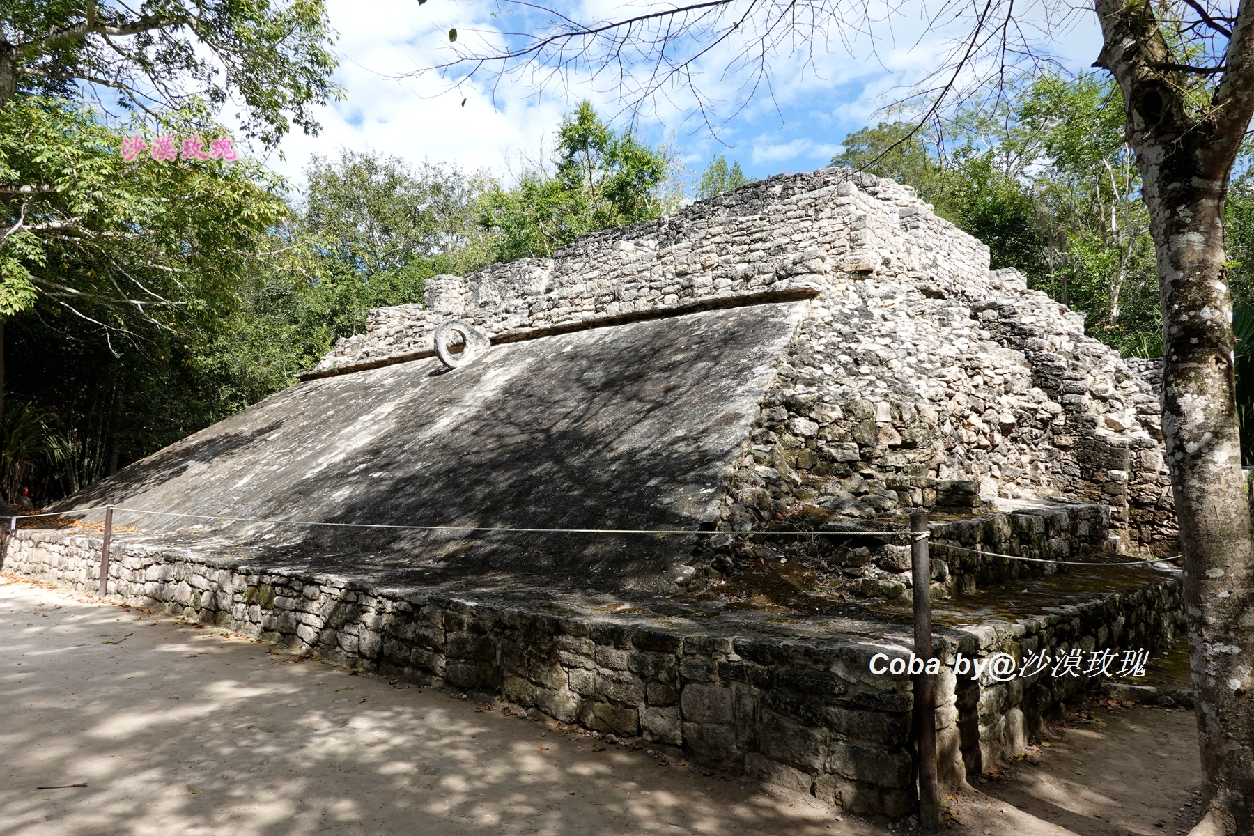 墨西哥足球暴力,墨西哥足球最高赛事