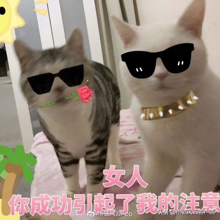 安奈儿生产深圳校服,安奈儿2024年校服