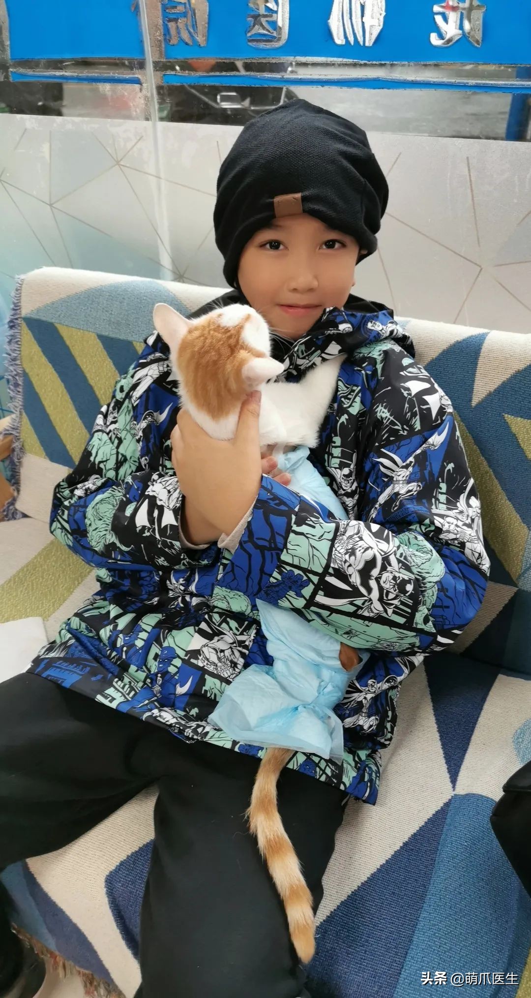 这只叫“长生”的猫咪，真实身份是美人鱼