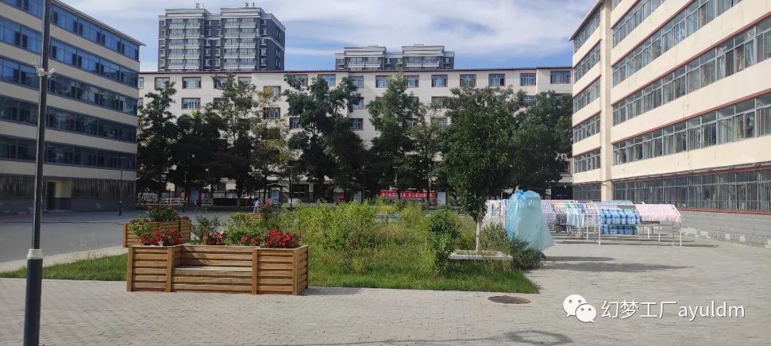 你好母校作文800字,你好母校作文