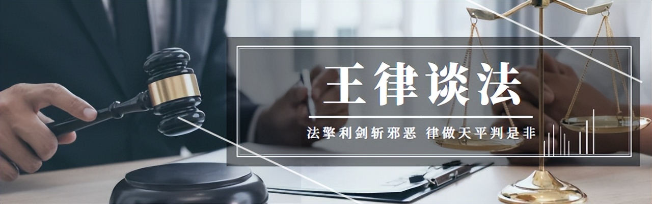 丁某、龙某、张某诉大地公司决议撤销纠纷案之评析