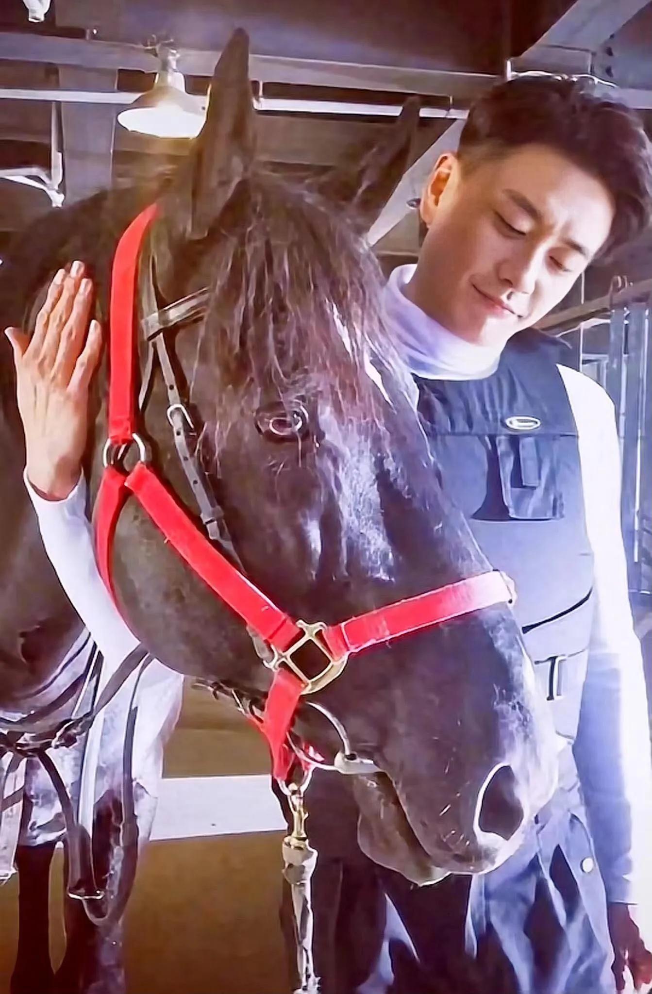 黄宗泽就是行走的荷尔蒙,黄宗泽行走的荷尔蒙经典片段