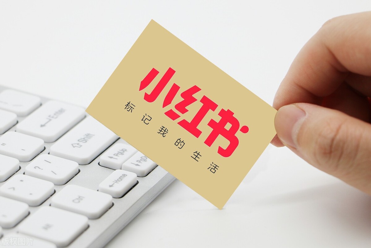 社交电商商业模式小红书,小红书的商业模式案例分析