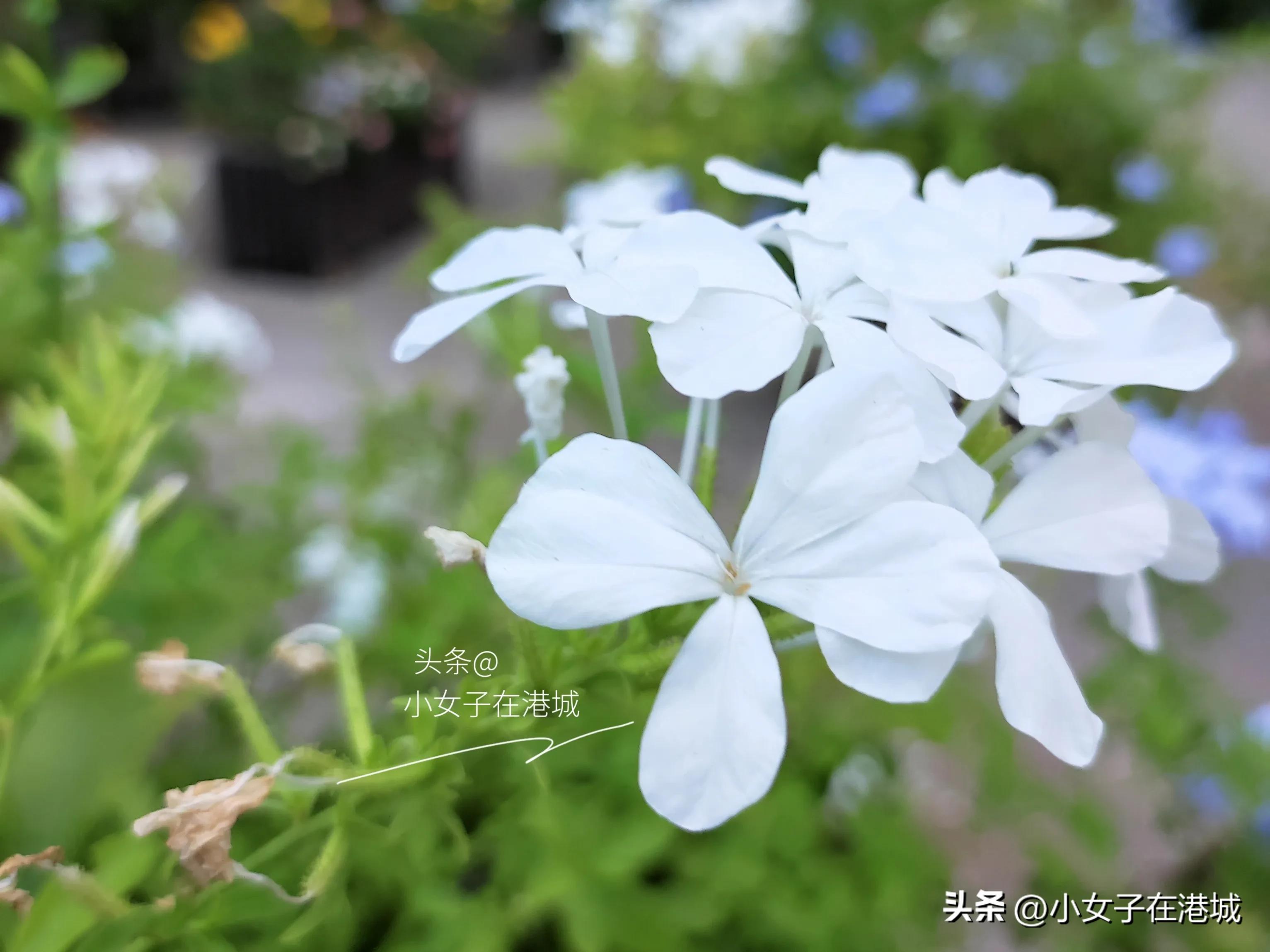 我，一位33岁的兼职宝妈，自从家里实行分餐制后，感觉实在太爽了