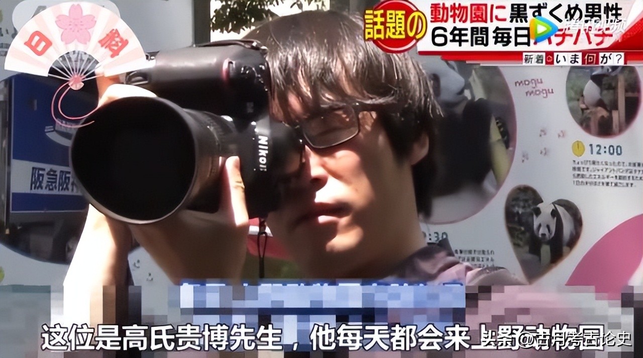 旅日大熊猫回国日本人反应,四只旅日大熊猫陆续归国