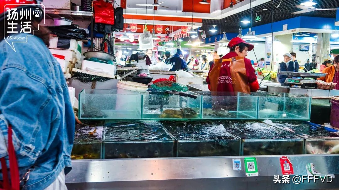 逛扬州菜市场,扬州最有烟火气息的菜场