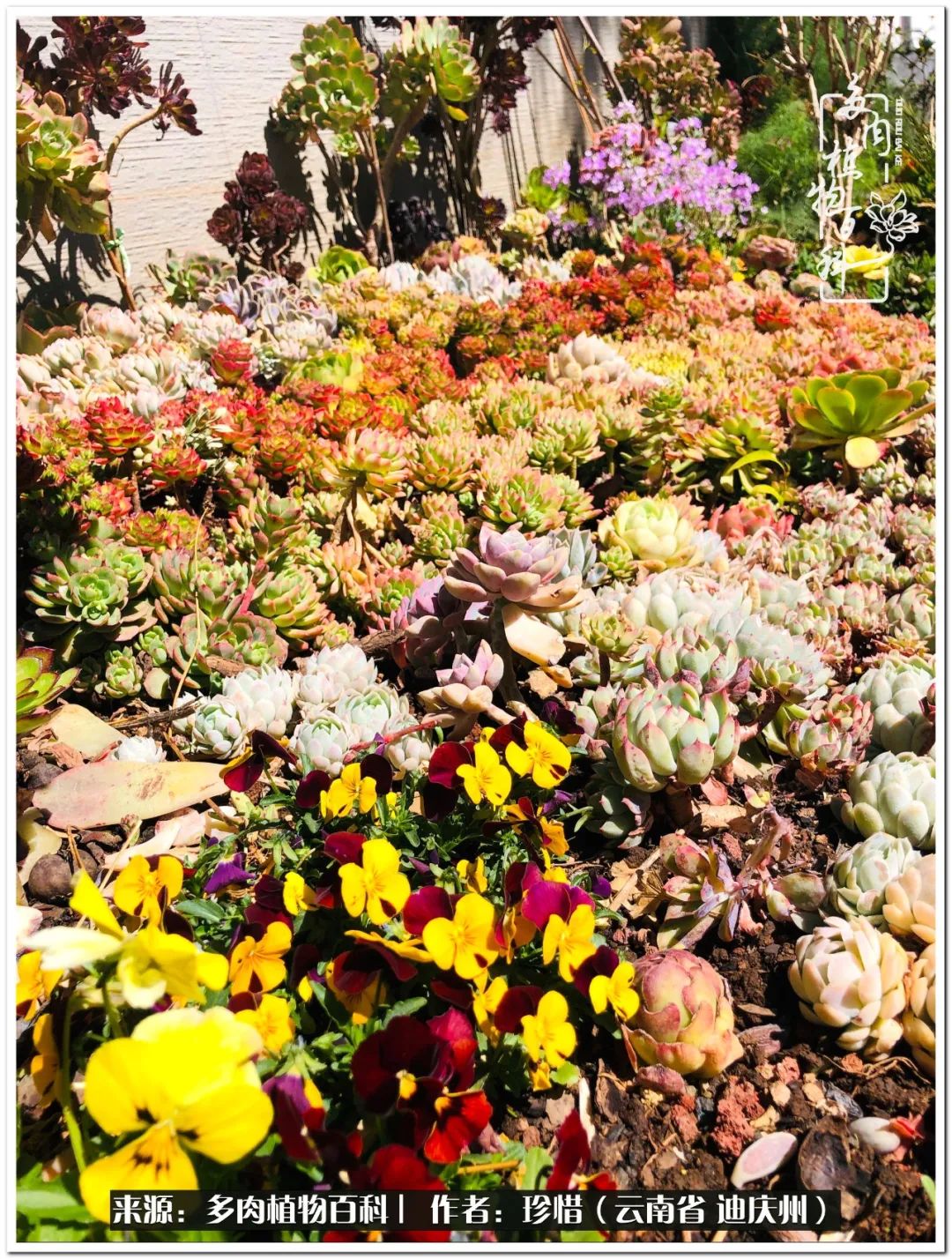 给生命一份淡然还岁月一份从容,给生命留一份洒脱的话