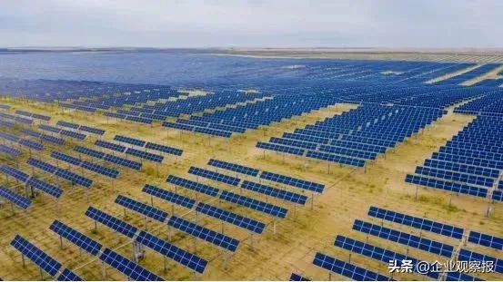 当好推进生态文明建设的实践者,中国诚通愿景